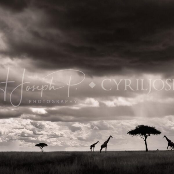KENIA BN_Paisaje_06