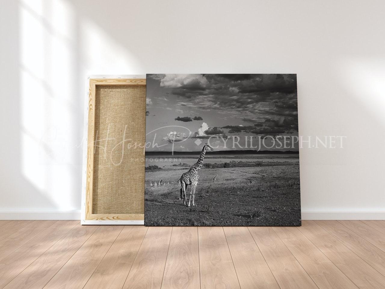 KENIA BN_VS_010 - Imagen 2