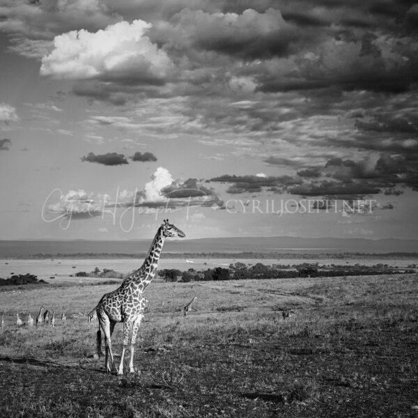 KENIA BN_VS_010