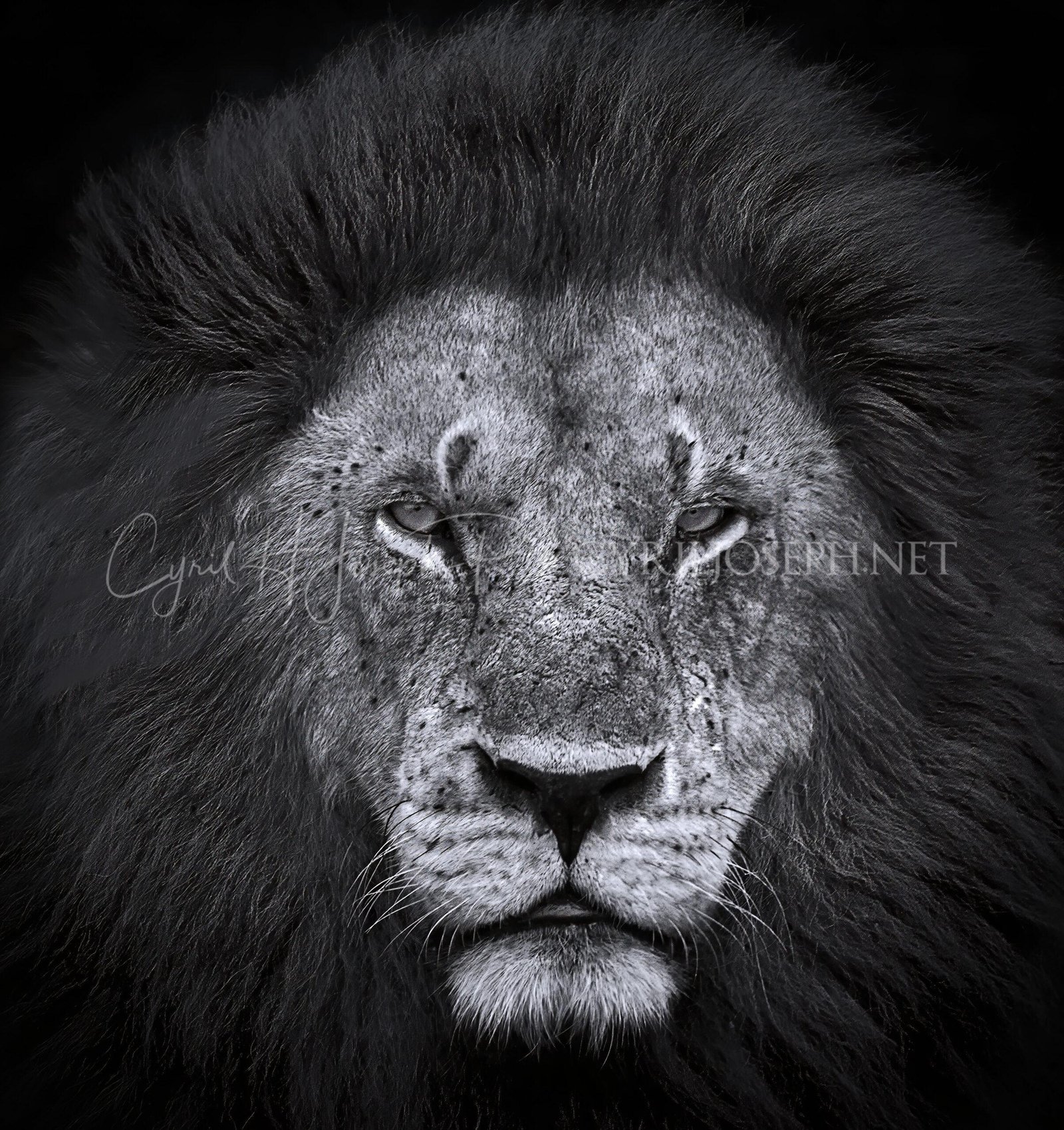 TANZANIA BN_VS_026
