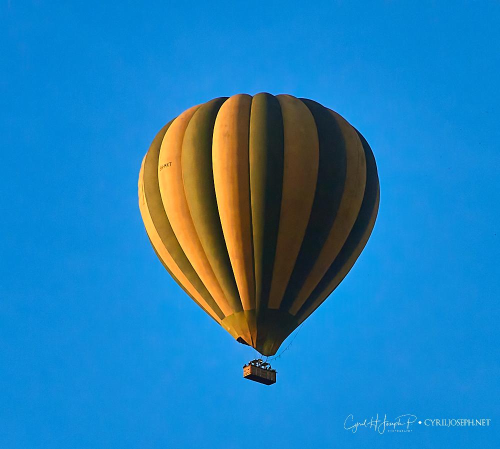 TZN_0343_284