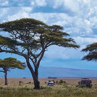 Safari Gran Migracion | Tour al Serengeti, Tanzania.