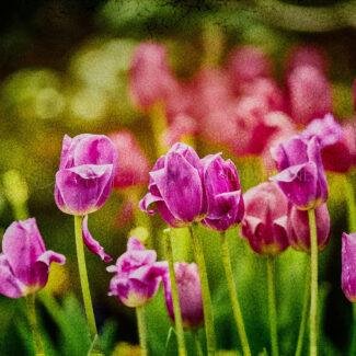 Especial_Texturas_021