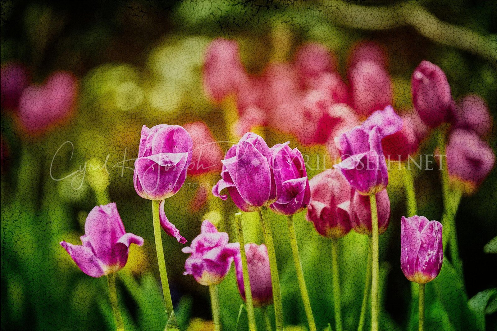 Especial_Texturas_021