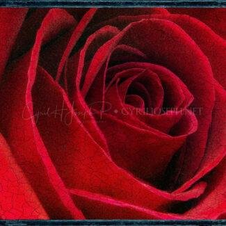 Especial_Texturas_031