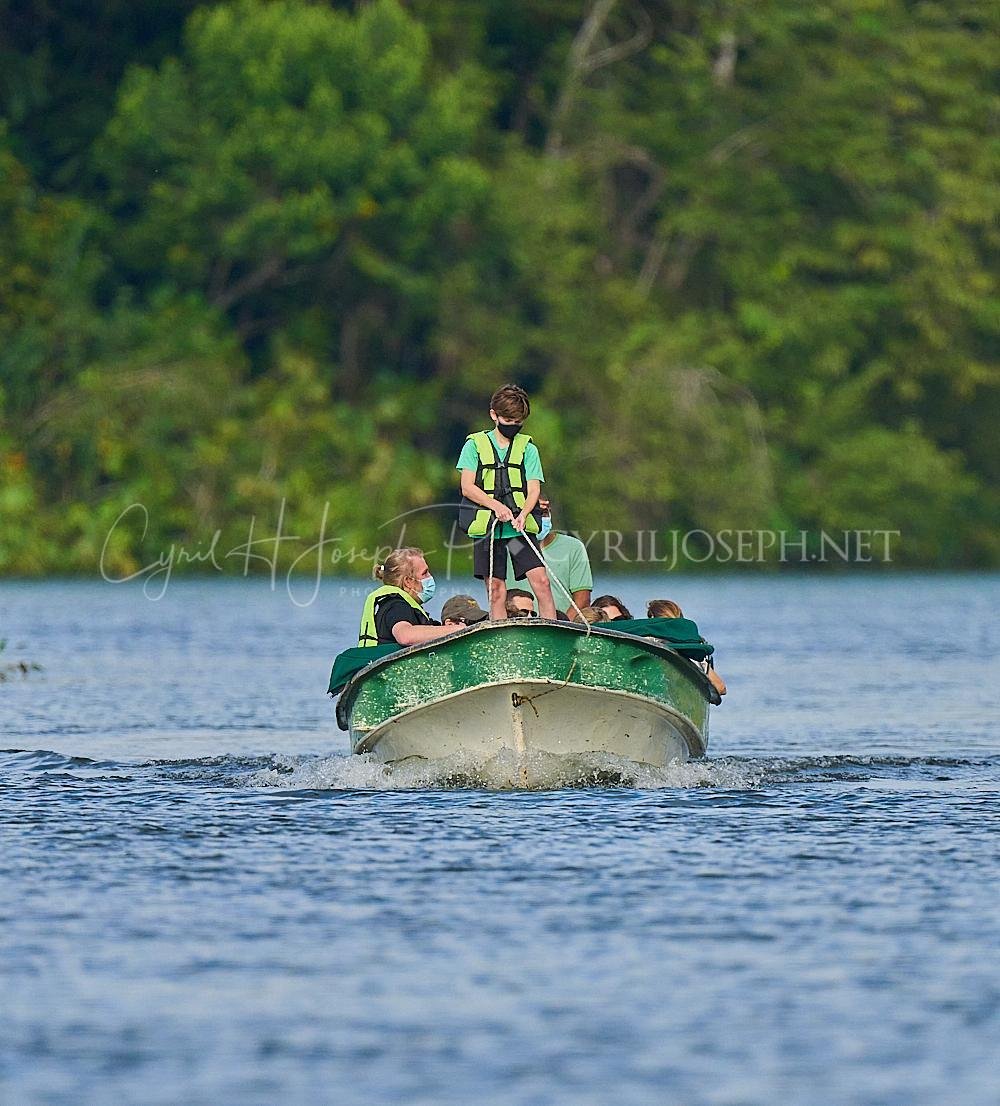 Birdwatching Panama - Image 5