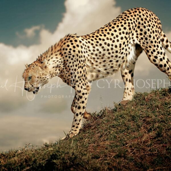 KENIA VS_001