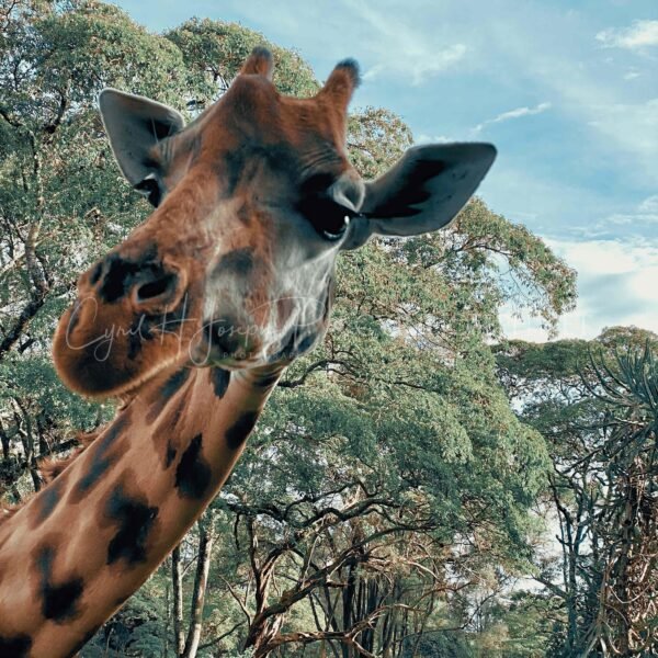 KENIA VS_004
