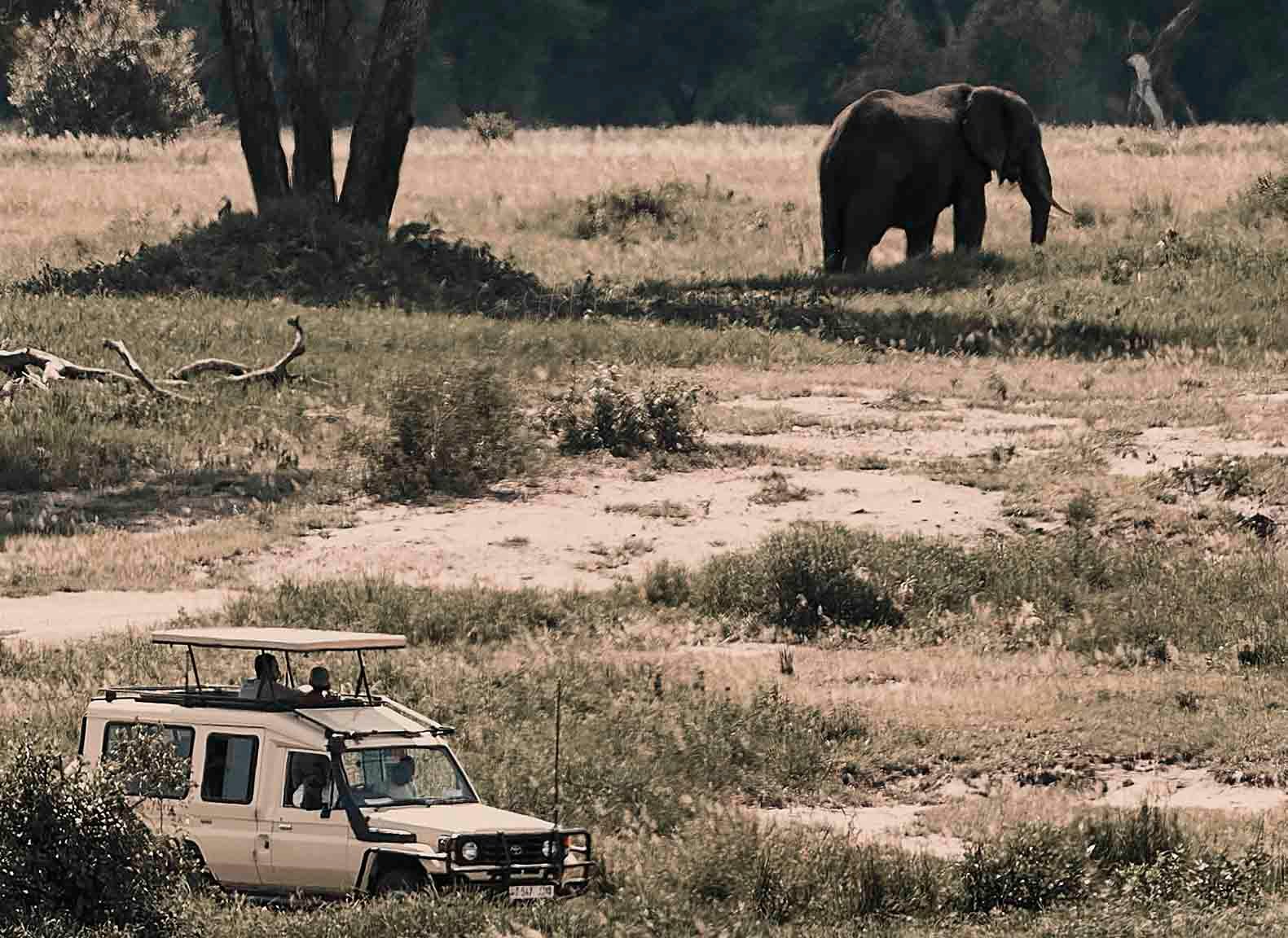 Tip´s antes de ir a África