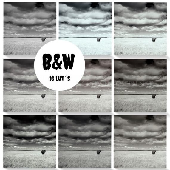 LUT B&W