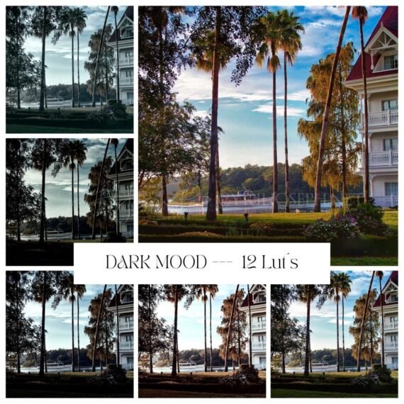 LUT Dark Mood