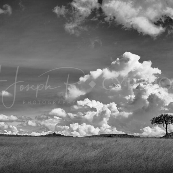 KENIA BN_Paisaje_00