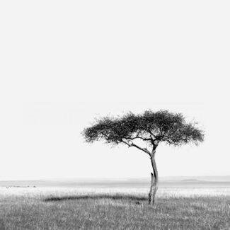 KENIA BN_Paisaje_01