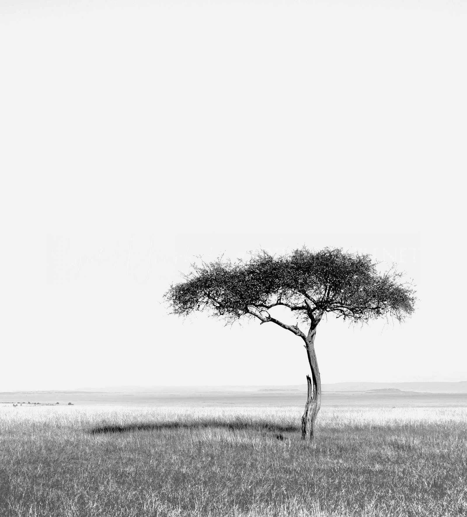 KENIA BN_Paisaje_01