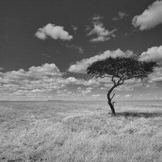 KENIA BN_Paisaje_03