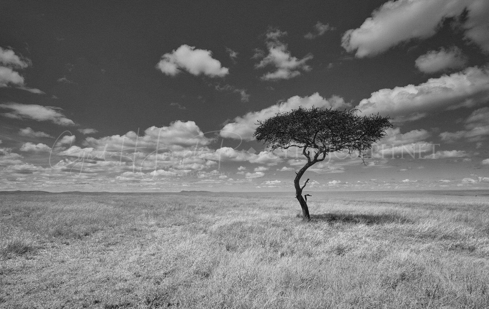 KENIA BN_Paisaje_03