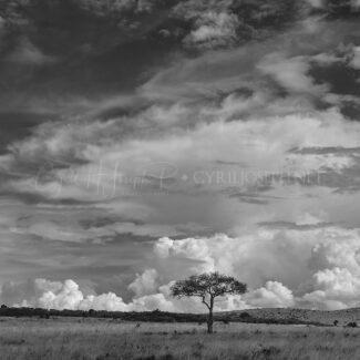 KENIA BN_Paisaje_04