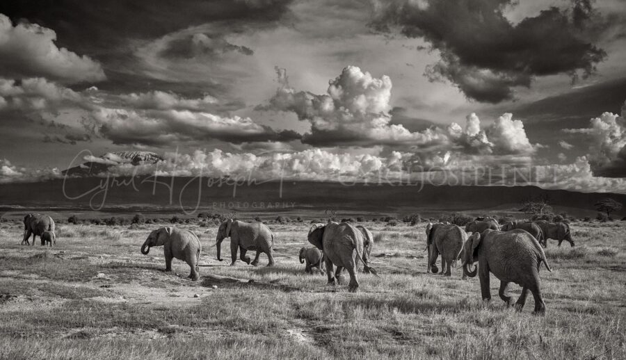 KENIA BN_Paisaje_05