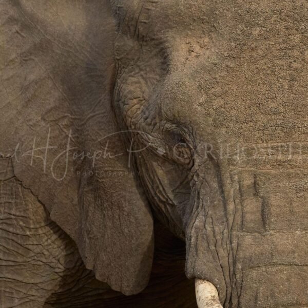 KENIA VS_005