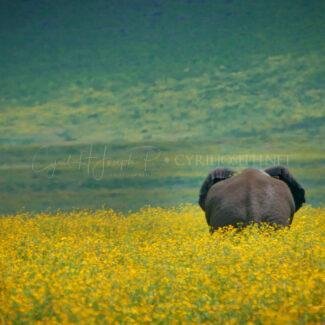 Kenia21_09105_397