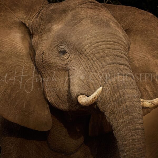 NAMIBIA VS_002