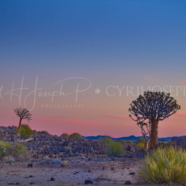 Namibia_008