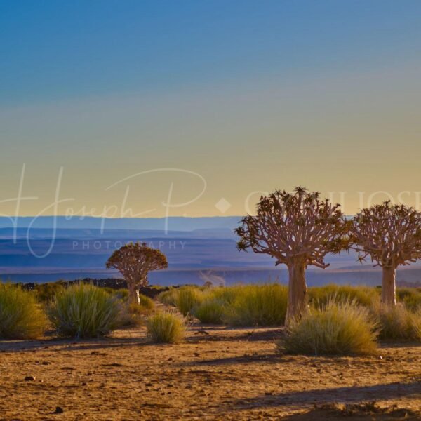 Namibia_009