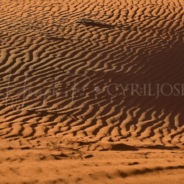 Namibia_012