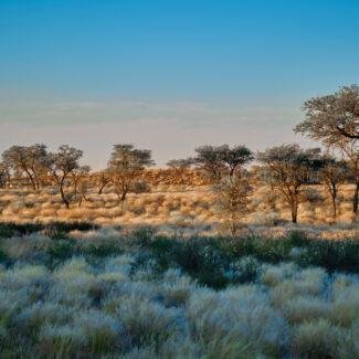 Namibia_015