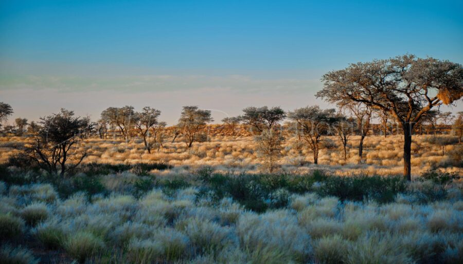 Namibia_015