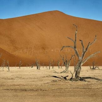 Namibia_044