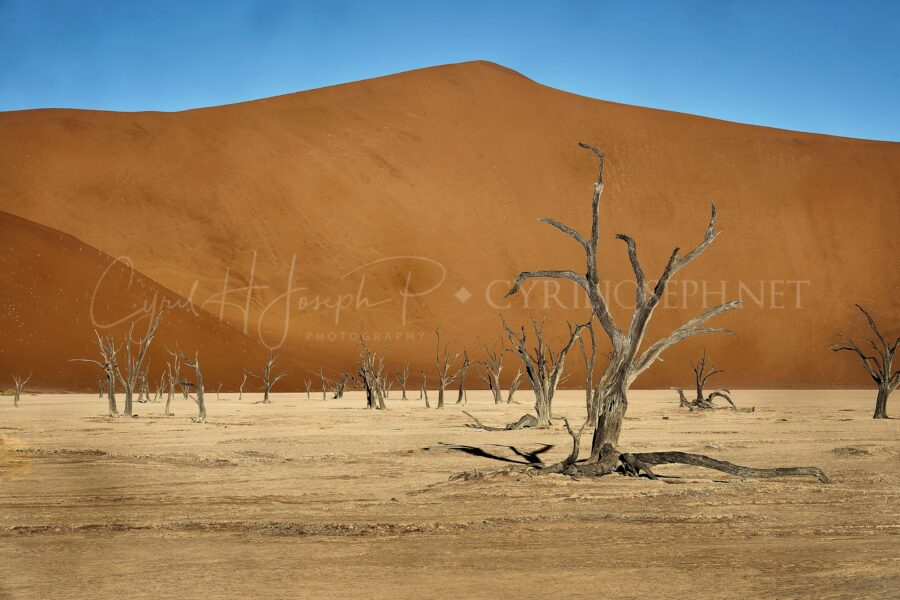 Namibia_044