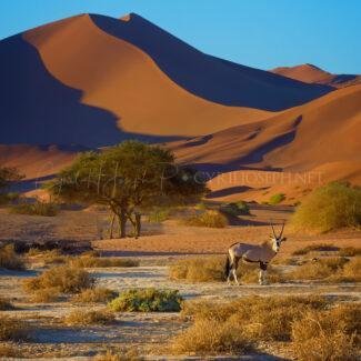 Namibia_047