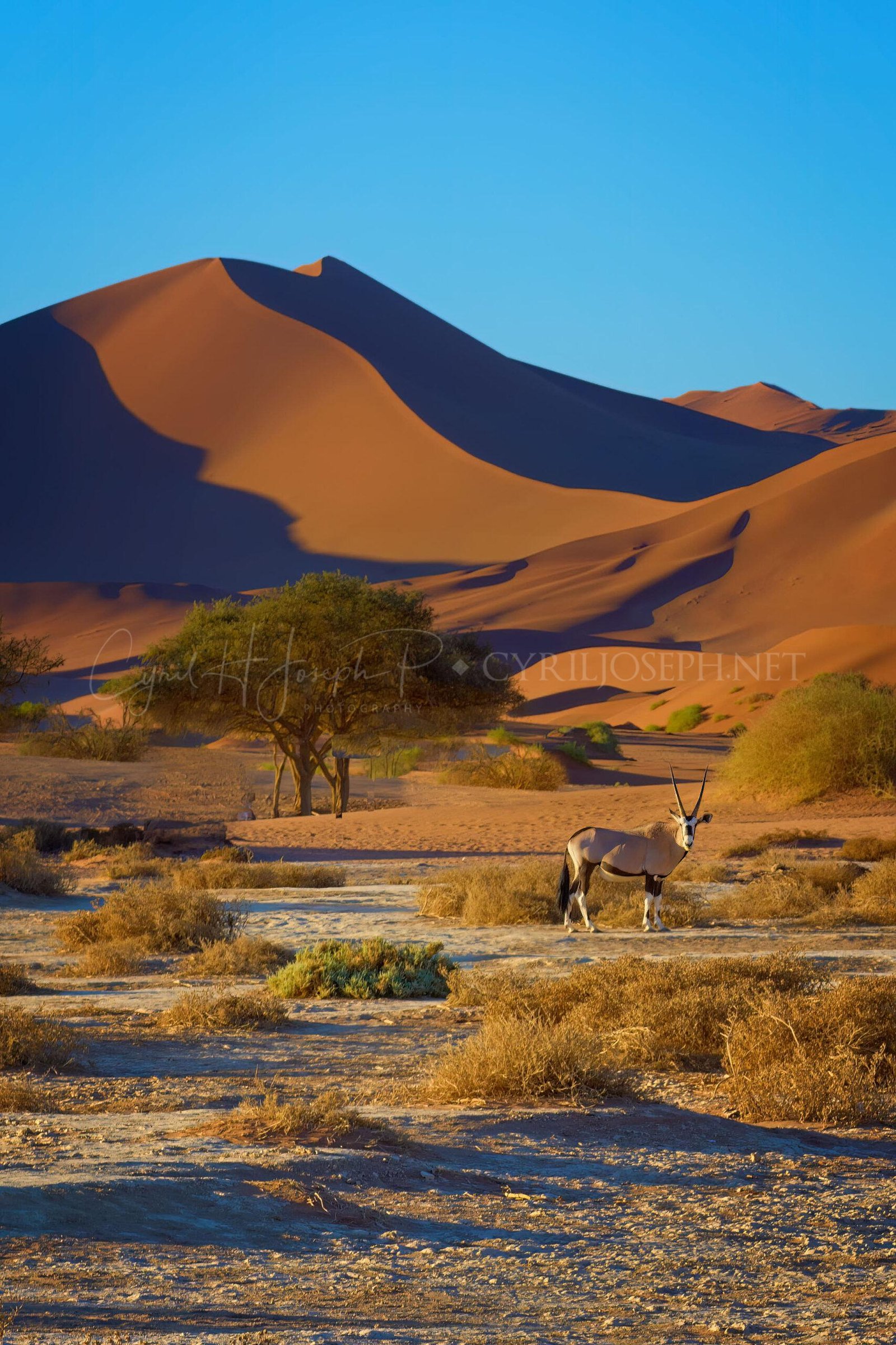Namibia_047