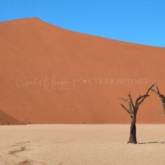 Namibia_048