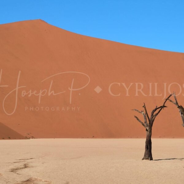 Namibia_048