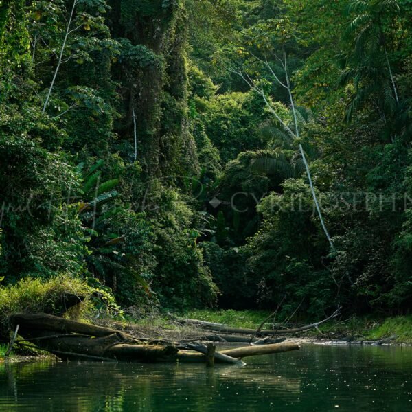 Panama_000