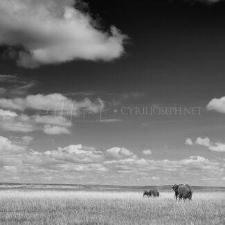 TANZANIA BN_Paisaje_02