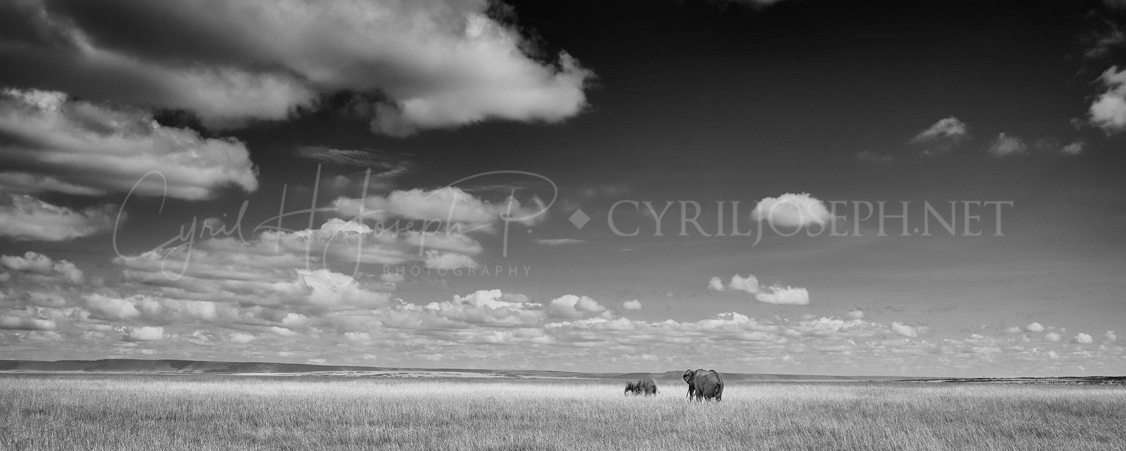 TANZANIA BN_Paisaje_02