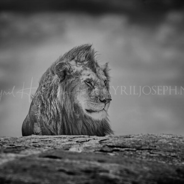 TANZANIA BN_VS_017
