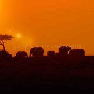 TANZANIA Paisaje_000