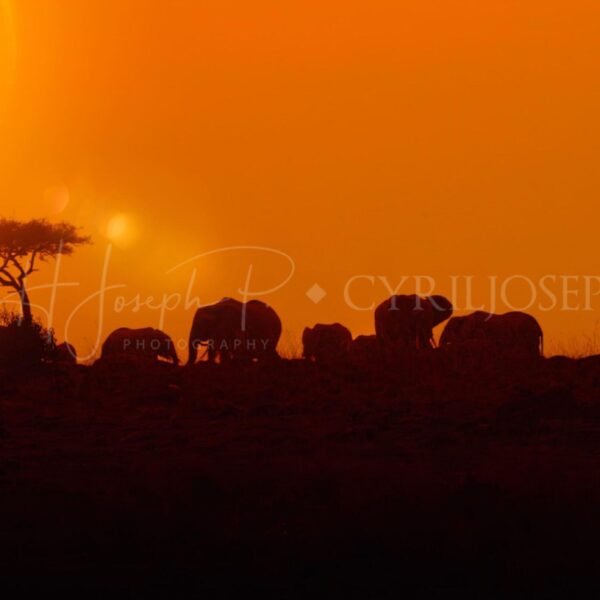 TANZANIA Paisaje_000