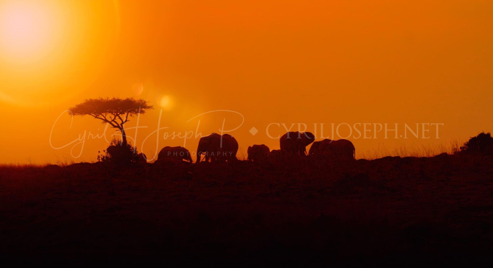 TANZANIA Paisaje_000