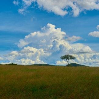 TANZANIA Paisaje_001