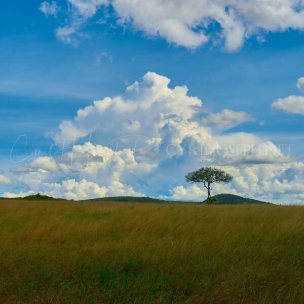 TANZANIA Paisaje_001
