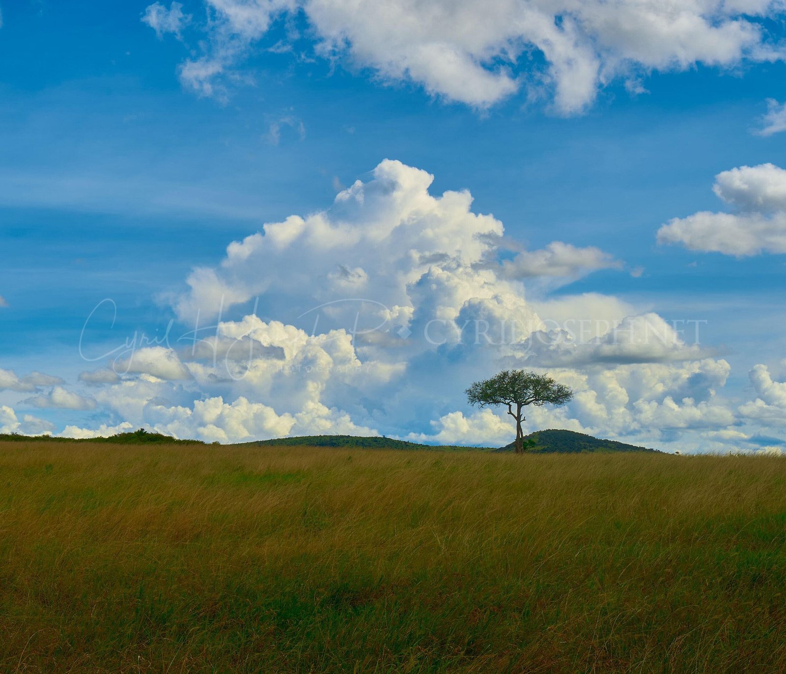 TANZANIA Paisaje_001