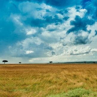 TANZANIA Paisaje_002