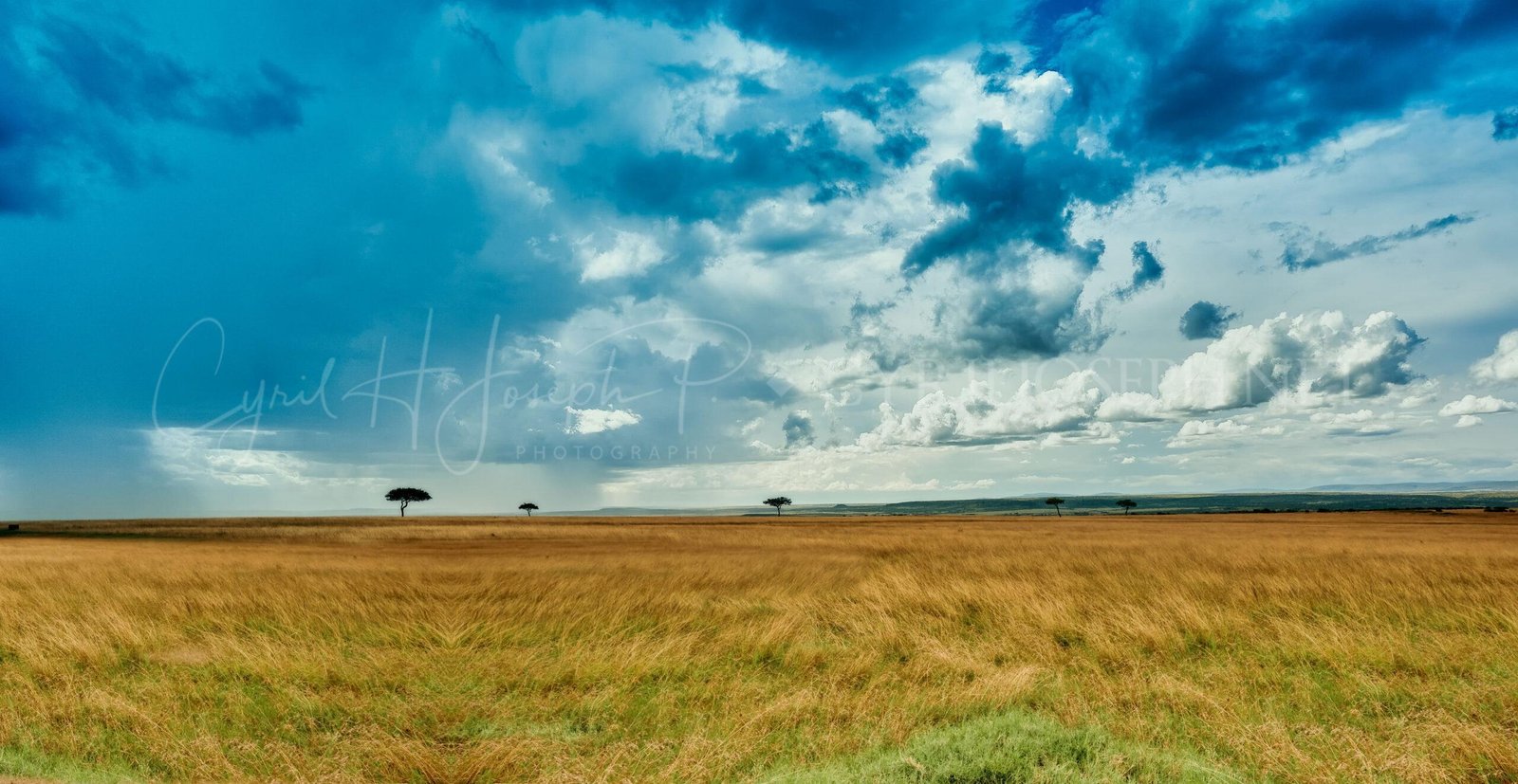 TANZANIA Paisaje_002