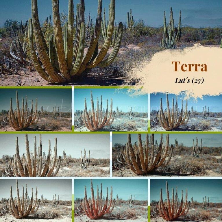 LUT Terra