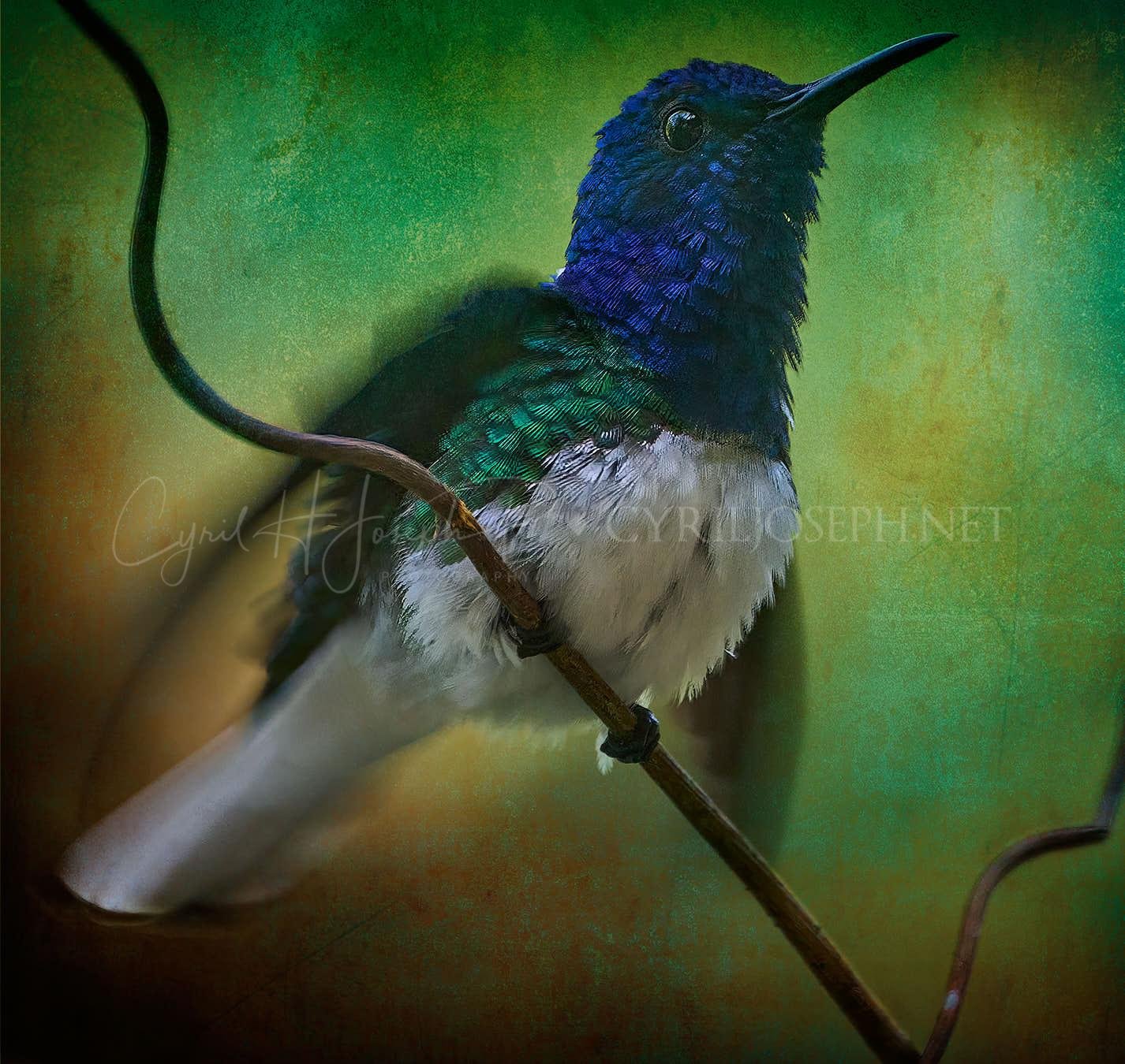 Especial_Texturas_000